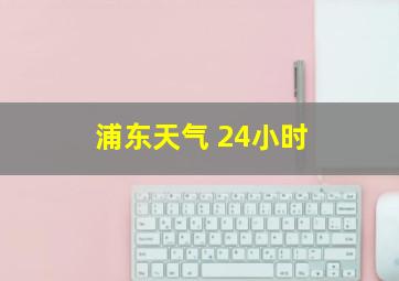 浦东天气 24小时